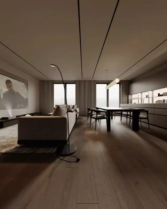 Open-plan living and dining area